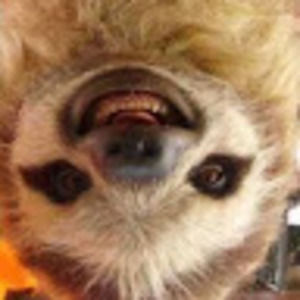 Meet your Posher, Sasha